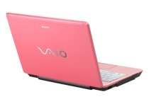 Earning Money At Home with Have Laptop, Will Travel Store